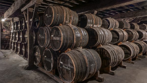 Mario Basner, Chai Cognac No.1, 2023