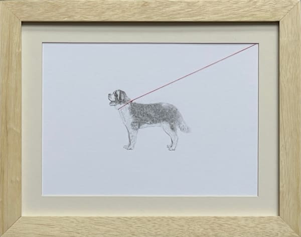 Carlos Alarcon, Tensions 6 (Saint Bernard), 2024