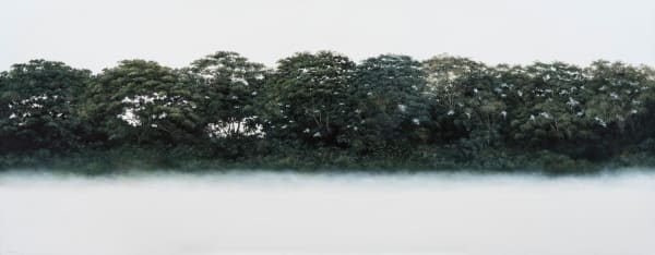 Daniela Mejia, Breathe Green, 2024