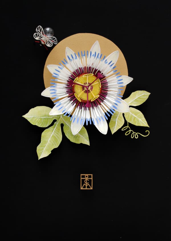 Teresa Currea, Passiflora, 2022