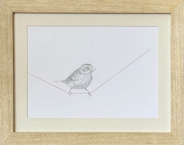Carlos Alarcon, Tensions 14 (Bird), 2023