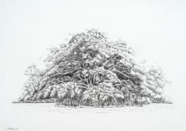 Daniela Mejia, Pencil and Paper 1, 2024