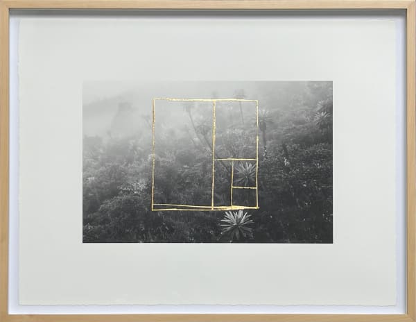 Gabriel Eisenband and Joel Grossman, Untitled 1, 2024