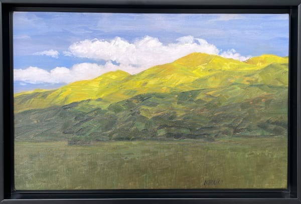 Carlos Nariño, Yellow Dawn, 2023