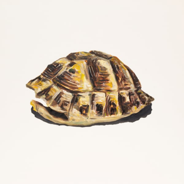 Carlos Alarcon, Still LIfe 6, 2023