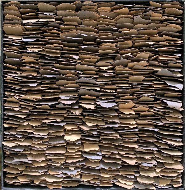 Carol Young, Chip Series No. 12, 2013