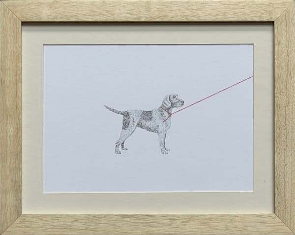 Carlos Alarcon, Tensions 9 (Pointer), 2024