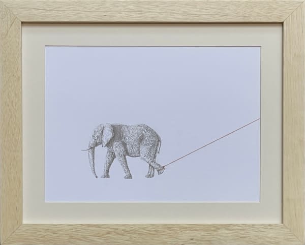 Carlos Alarcon, Tensions 18 (Elephant Foot Tied), 2024