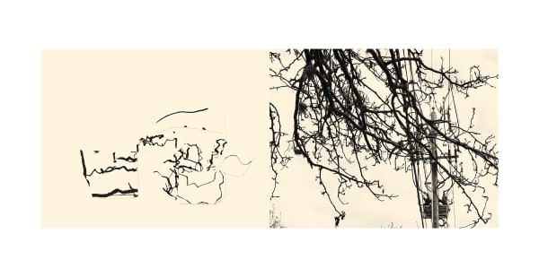 Carolina Otero, Dialogo VI, 2021