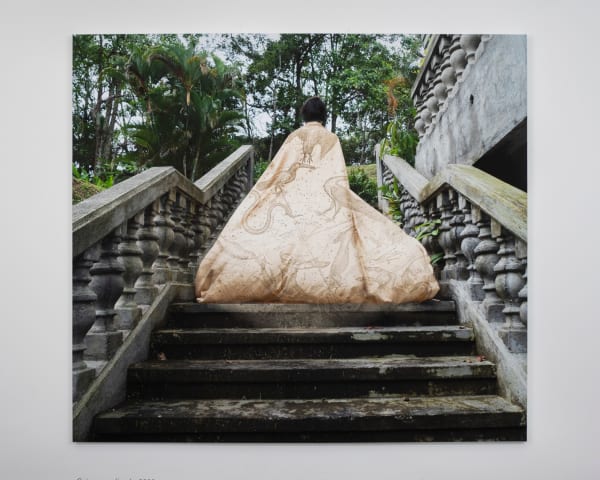 Cecilia Paredes, Gaia ascendiendo, 2022