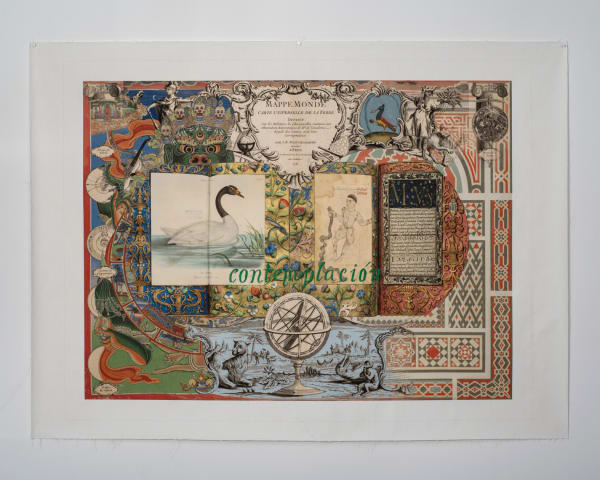 Cecilia Paredes, Carta universal de la tierra, 2024