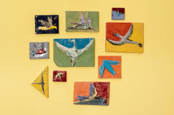 Manuela Zárate, Estudio de pajaros, 2024