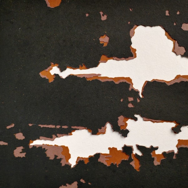 Génesis Alayón, Muestra #11, 2022