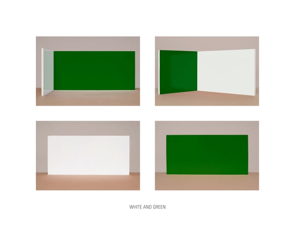 Alexander Apóstol, White and Green, 2017