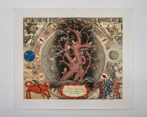 Cecilia Paredes, Rosetta, 2024