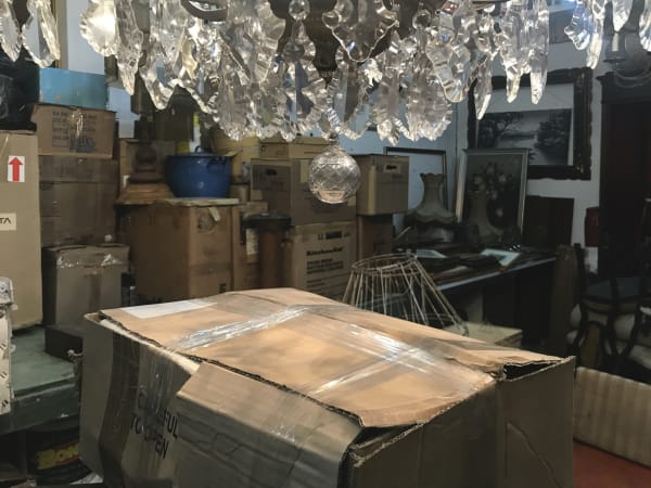 Marylee Coll, N 17, 2018