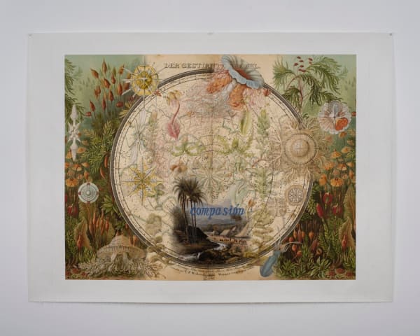 Cecilia Paredes, Paraíso perdido, 2024