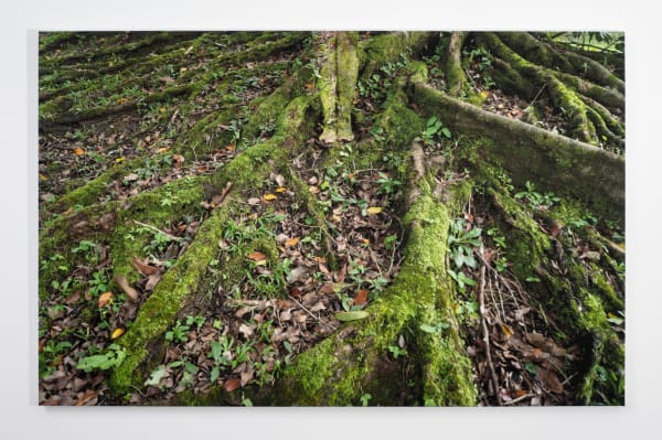 Cecilia Paredes, Porque no hay un átomo de mi cuerpo que no te pertenezca, 2022