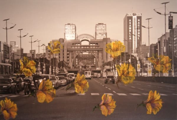 Corina Briceño, 9 Capachos y Bolívar, 2016