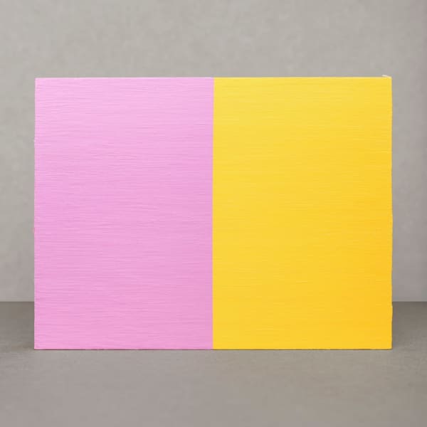 Alexander Apóstol, Elección 1988, 2018