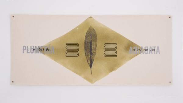 María Virginia Pineda, Plumería = Atabaiba, 2023