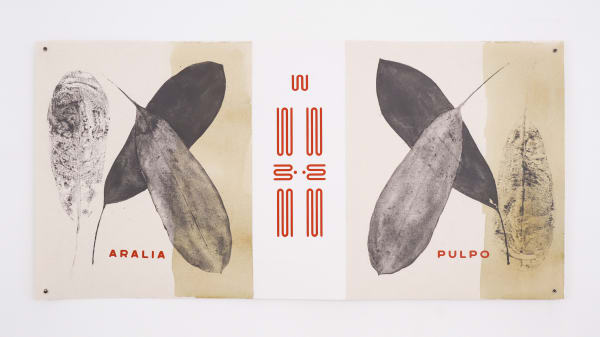 María Virginia Pineda, Aralia pulpo, 2023