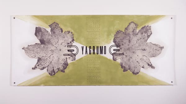 María Virginia Pineda, Yagrumo, 2023