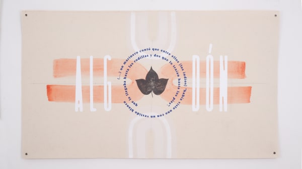 María Virginia Pineda, Algodón, 2023