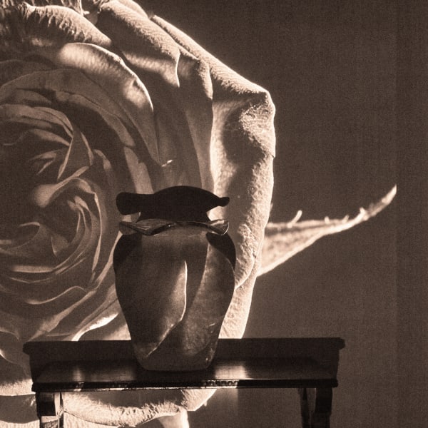 Nana Moraes, ECO 04, 2021