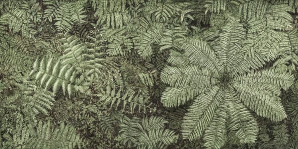 Cássio Vasconcellos, Viagem Pitoresca pelo Brasil #142, 2021