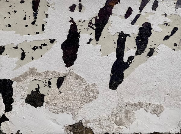 Dudu Garcia, RA 135 P40, 2020