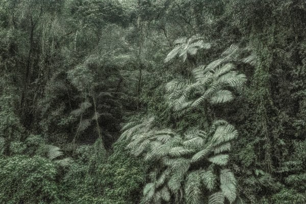 Cássio Vasconcellos - Viagem Pitoresca pelo Brasil #145, 2017