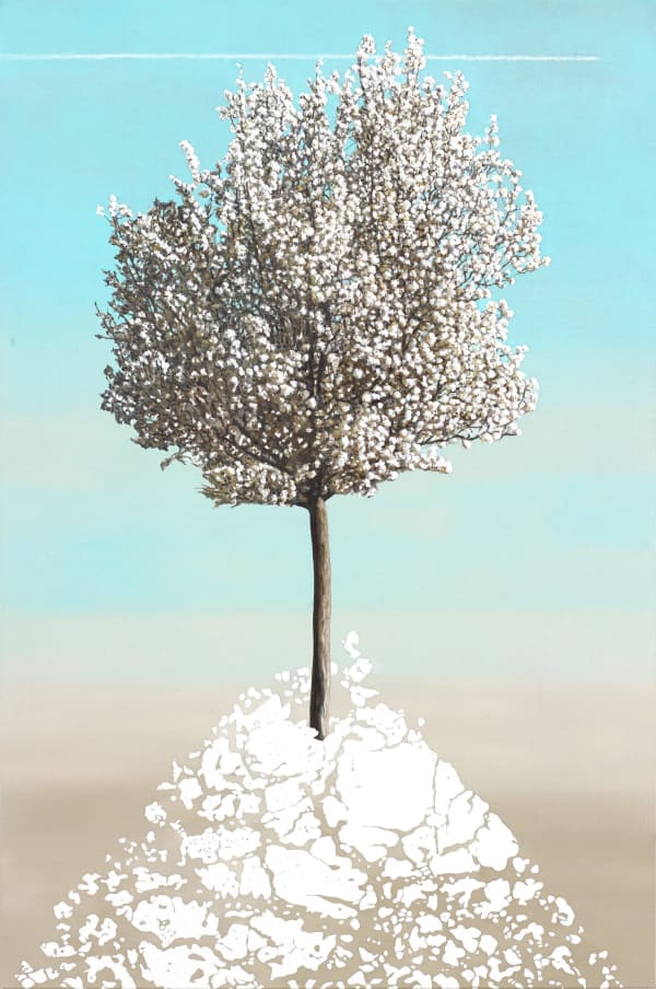 Karen Holländer, Geometrie des Alltags 2, 2024