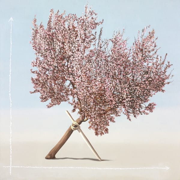 Karen Holländer, Geometrie des Alltags 1, 2024