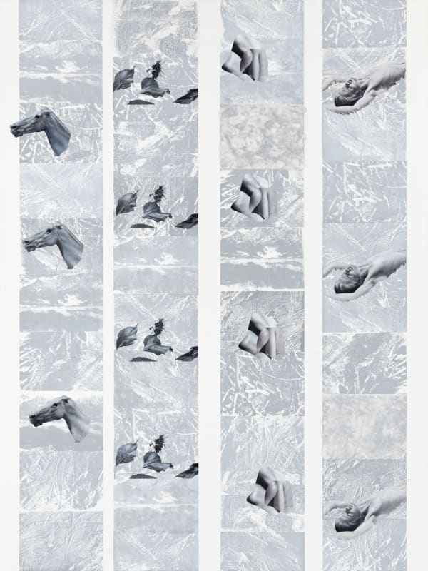 Drago Persic, stadion & tjela, 2021