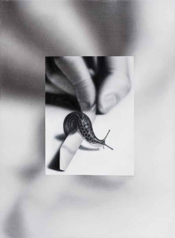 Drago Persic, schnegel 2, 2022