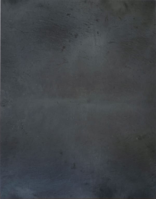 Anneliese Schrenk, Ausstosshaut 21, 2011