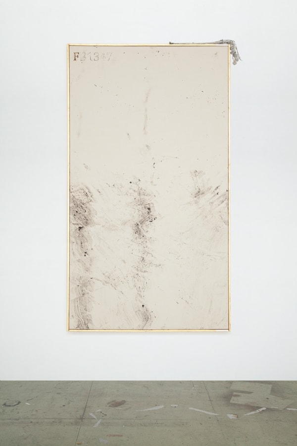 Anneliese Schrenk, Die Ausstoßhaut (Erdmalerei), 2022