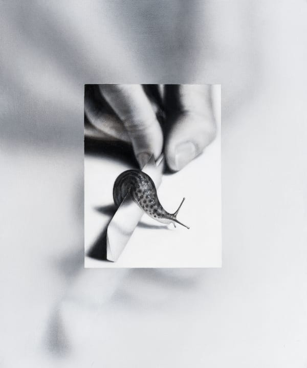 Drago Persic, schnegel 3, 2020