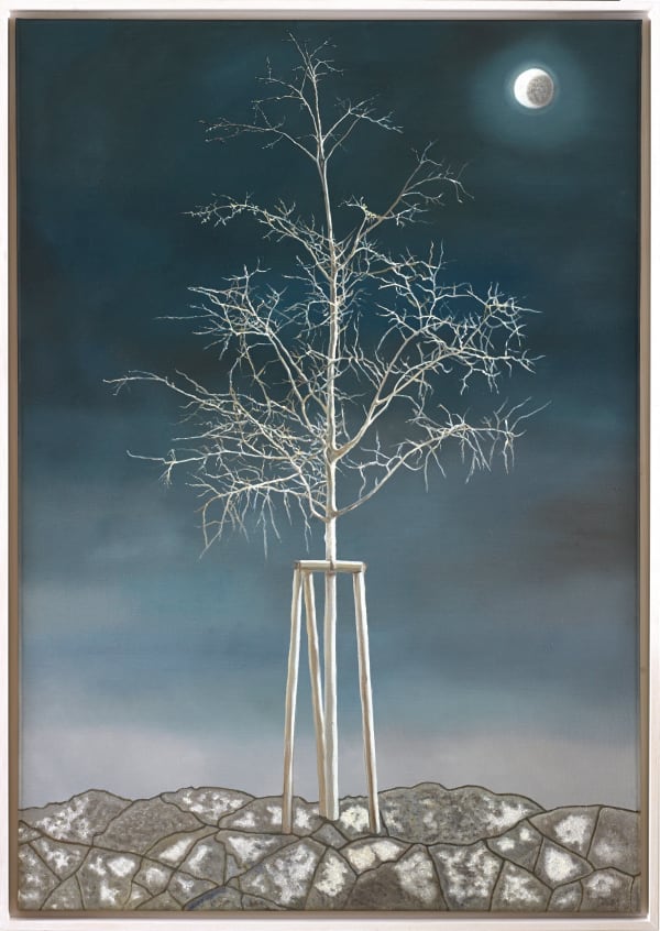 Karen Holländer, Einbaum 6, 2024