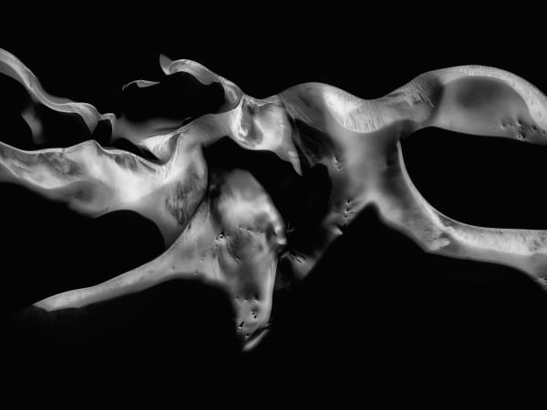 Roland Blum, Poetry of Silence No. 807, 2024