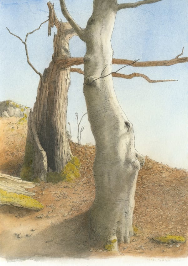 Thomas Thyrion, ohne Titel, 2021