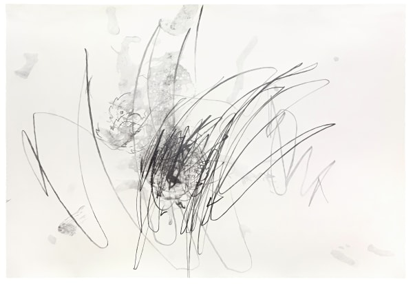 Klaus Mosettig, Informel 27, 2016