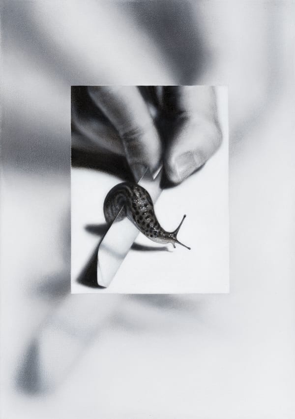 Drago Persic, schnegel, 2022