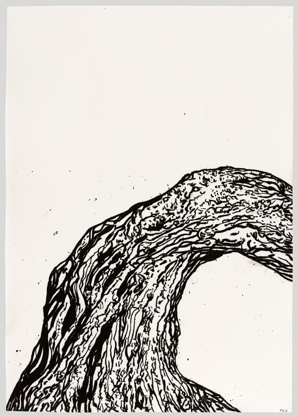 Tony Bevan, Trunk (PP1532), 2015