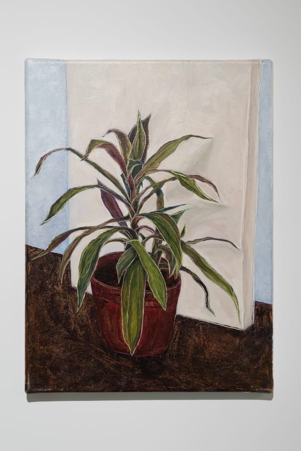Gavin Yip, Plant and Canvas《植物與畫布》, 2015