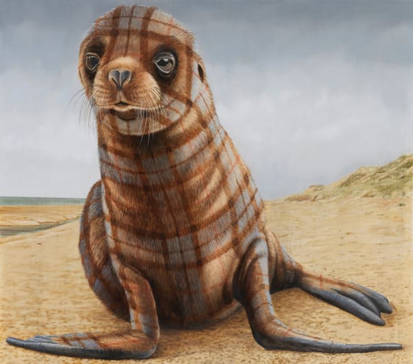Sean Landers, Seal Pup (Chatham, MA), 2015