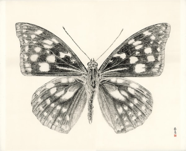 Zhang Yirong, Butterfly I, 2014