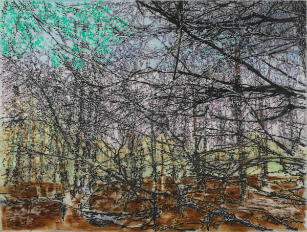 Ena Swansea, NC woods, 2019