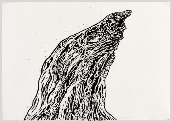 Tony Bevan, Trunk (PP1534), 2015